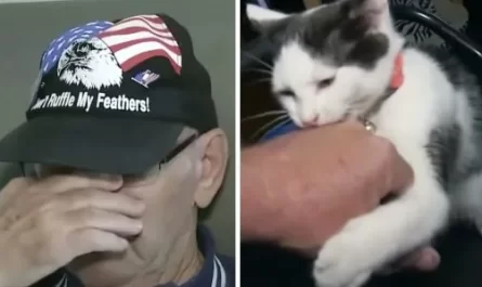 Elderly Man Breaks Down Speaking About His Cat Saving His Life