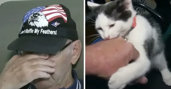 Elderly Man Breaks Down Speaking About His Cat Saving His Life