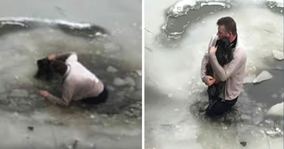 Man Jumped Into Frozen water To Rescue Dog From Sinking In Park
