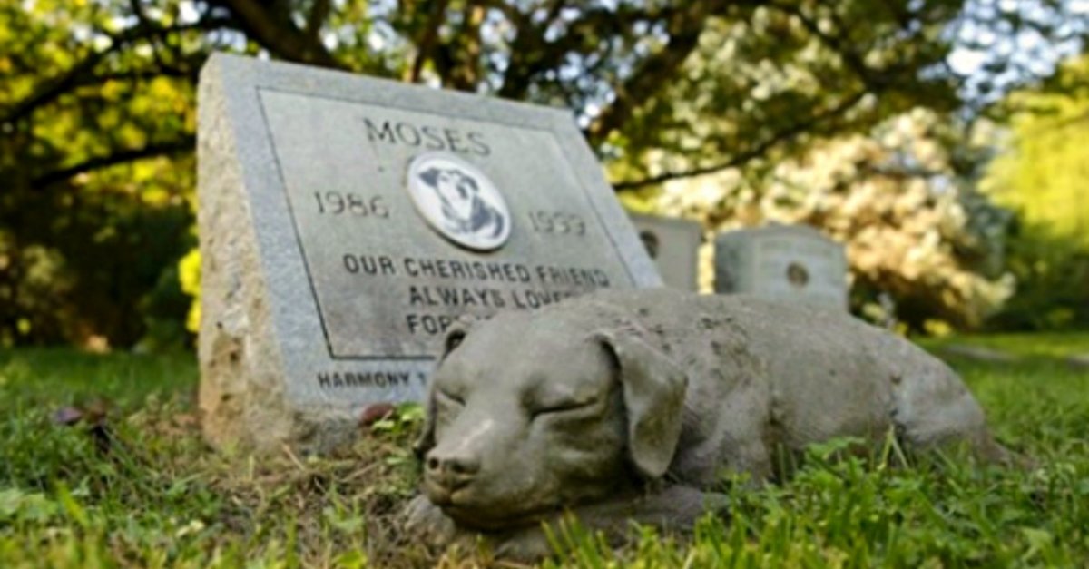 New Law Allows Animals To Be Buried Alongside Their Humans At Cemeteries