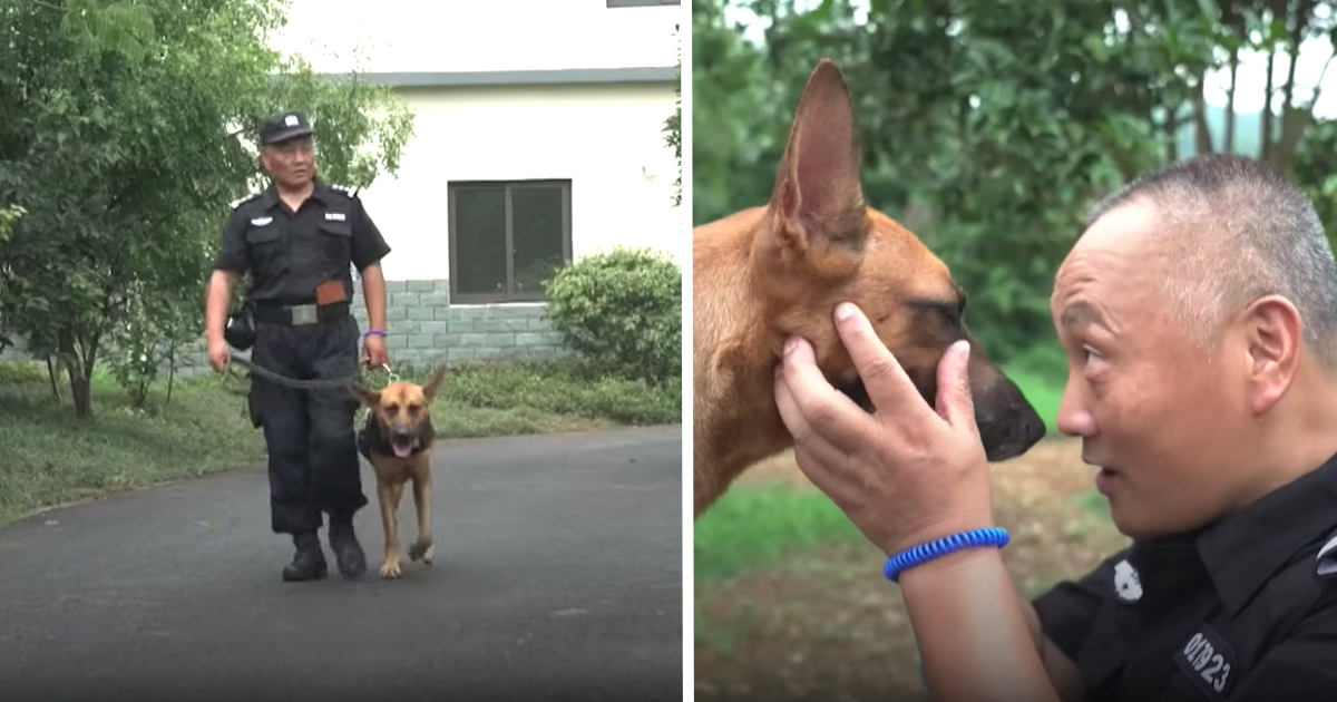 Policeman Spends His Own Savings To Look After Retired And Neglected K9s