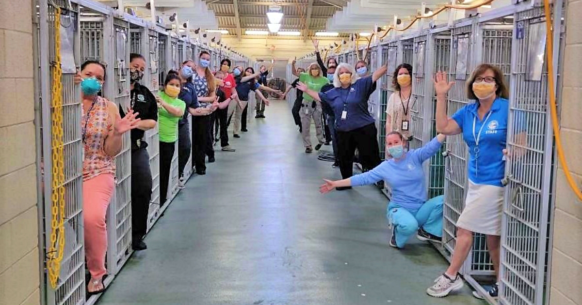 Shelter Celebrates Clear Kennel For The First Time Ever Before