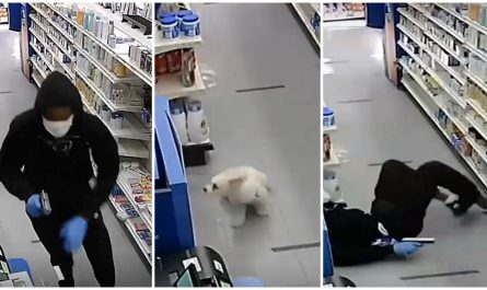 Small Dog Scare Away Robbers Who Ran In The Pharmacy With Weapons