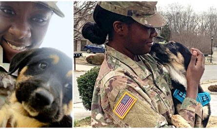 Soldier Rejoins With Puppy She Saved From Dog-Catchers While Overseas