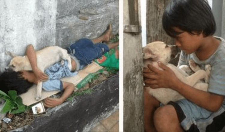The Boy Abandoned By His Moms And Dads Sings A Lullaby To A Homeless Dog