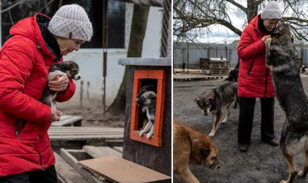 Ukrainian Lady Risks Her Life To Secure Over 700 Animals, Including A Lion!