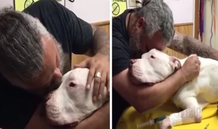 Even A tough Man Can Break Down After Having To Say Goodbye To His Dog