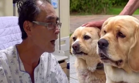 Aged guy passing away of cancer breaks down while saying final goodbye to his beautiful dogs