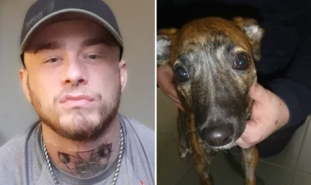 Angry Hull guy beat puppy unconscious and made threat to 'kill it' after it peed on him