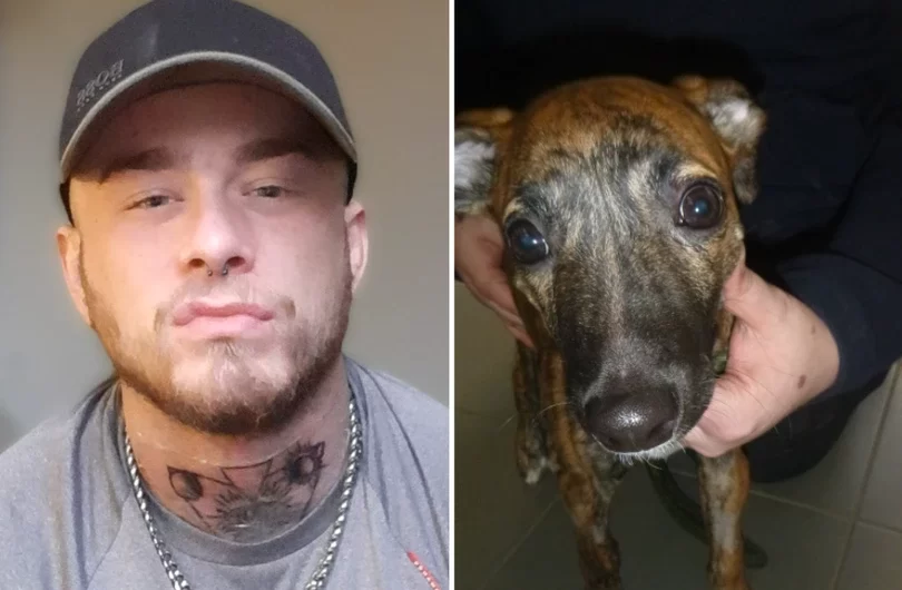 Angry Hull guy beat puppy unconscious and made threat to ‘kill it’ after it peed on him