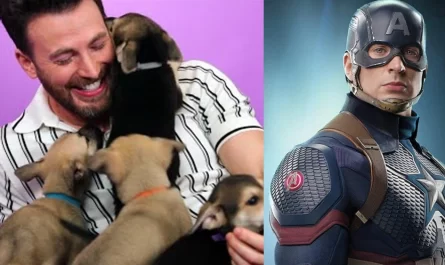 Chris Evans said he prepared to adopt a puppy, but saving an adult dog was the best choice of my life.JPG