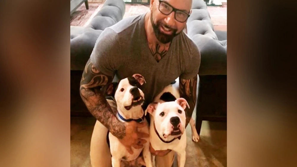 Dave Bautista Adopted 2 Abandoned and Abused Pit Bulls From A Sanctuary