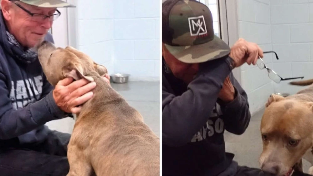 Dog Can Not Believe His Daddy Finally Found Him After 200 Days