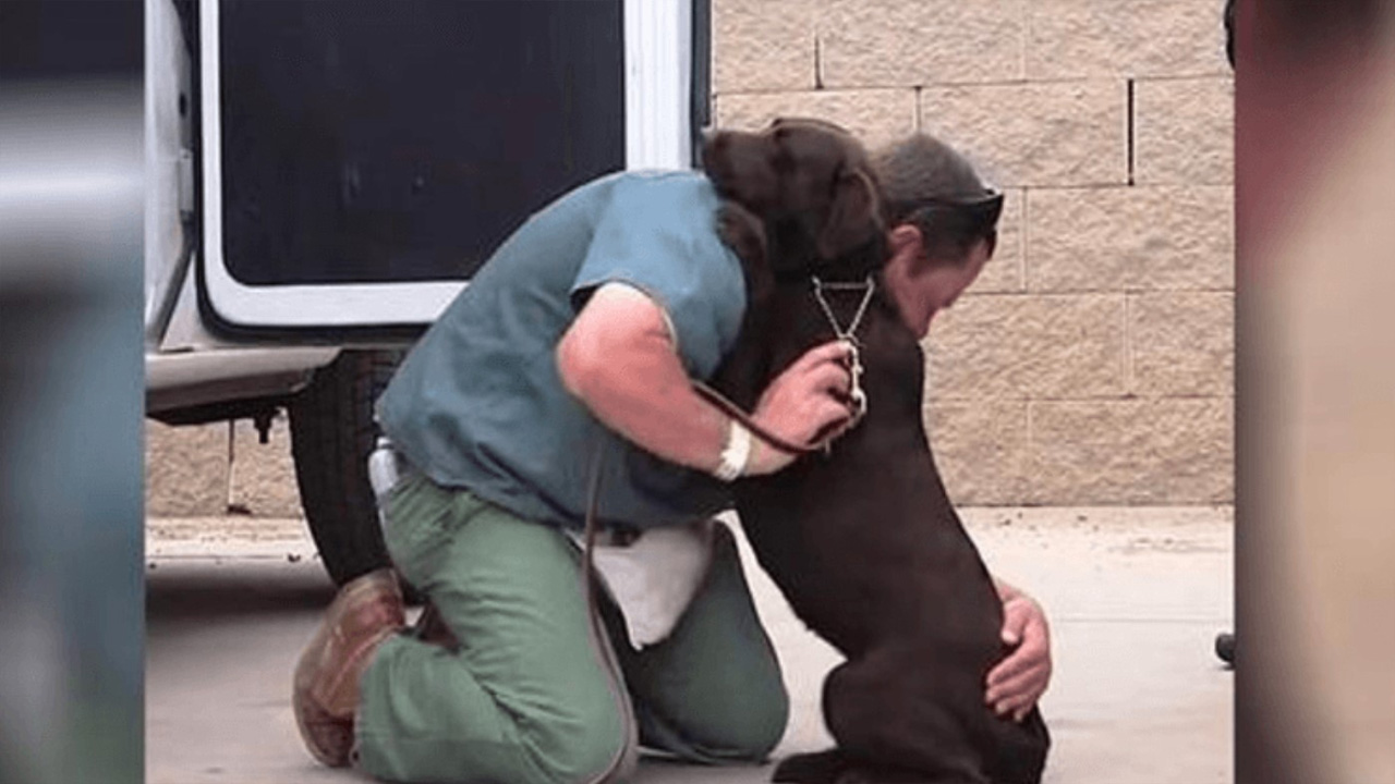 Dog Was Taken To Be Euthanized, But One Inmate Provided A Purpose For Her Life