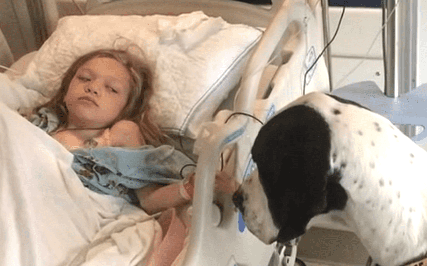 Dog gives his all for little girl, so family chooses to return the favor