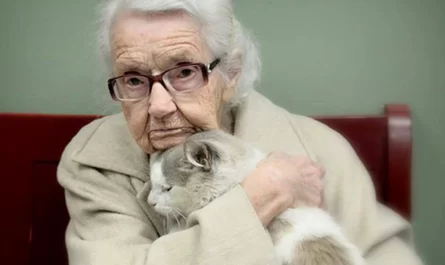 20 Year Old Cat Abandoned To Shelter Finds New House With 101 Year-Old Lady