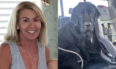 Texas Lady With Dementia That Went Missing Was Saved Through The Bark of Her Dog