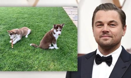 Leonardo DiCaprio Rescued His Dogs from Sinking in a Frozen Lake While Filming Do Not Look Up