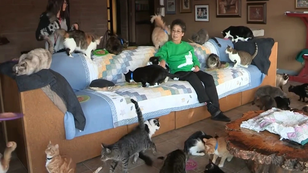 People have ideas of what a insane cat lady looks like, but this is definitely a special case