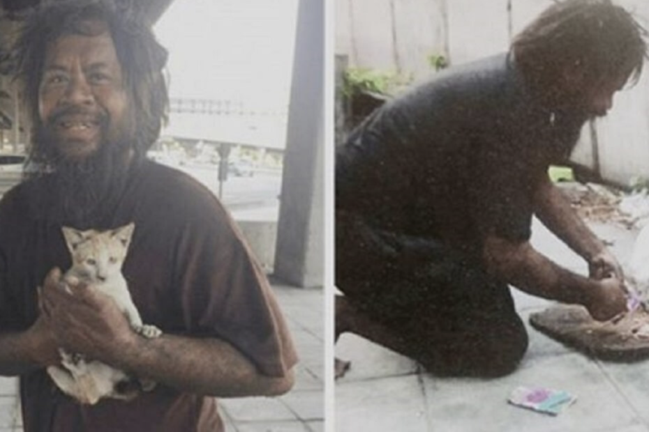 Kind Homeless Guy Prioritizing His Cat Over Himself