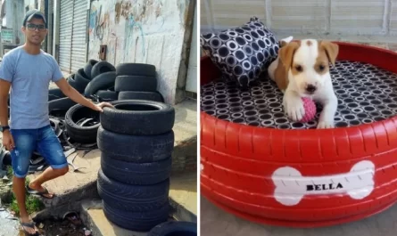This Guy Transforms Useless Tires Into Different Useful Things, Such As Animal Beds