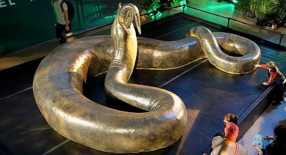 Titanoboa thirteen metres, one tonne, The biggest snake ever.