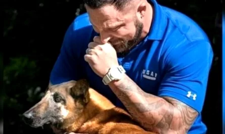 Veterinarian Can Not Hold Back Tears When He Sees His Military K9 Now That She's Old And Retired