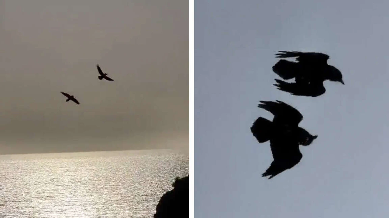 Video Camera Captures A Pair Of Lifelong Lovers Dancing In The Sky