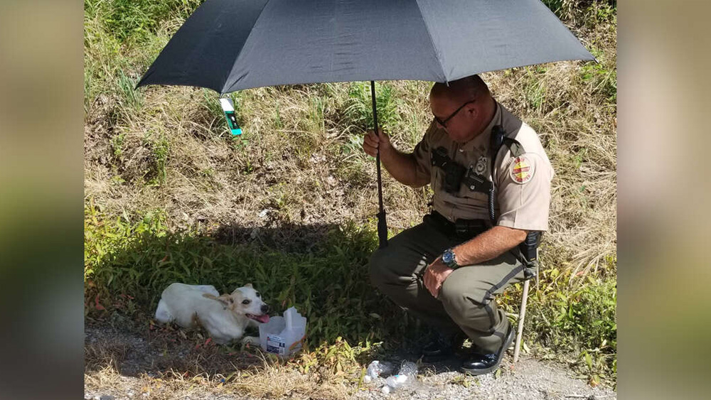 Woman Is Touched By Cop's Kindness For Dog Stranded During Heatwave