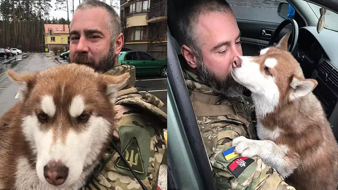 'Miracle' Husky Lost in Ukraine Found by Solider Who Tracked Down Owners