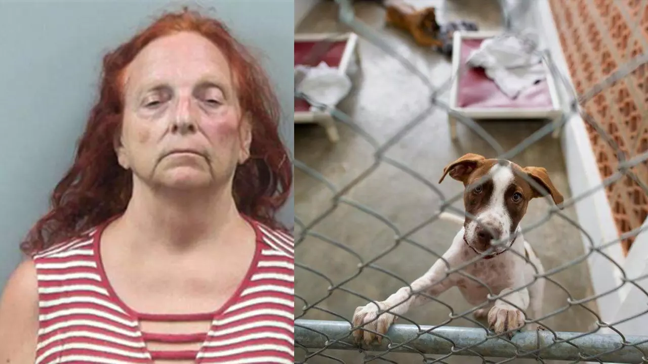 Denton Woman Facing 10 counts of Animal Cruelty Charges After 55 Animals Seized