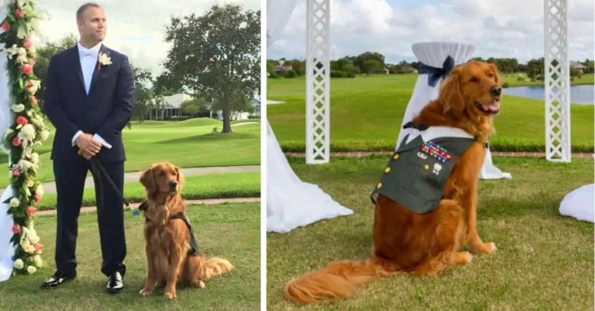 Wounded Veteran chose his service Dog to be the best man at his wedding celebration