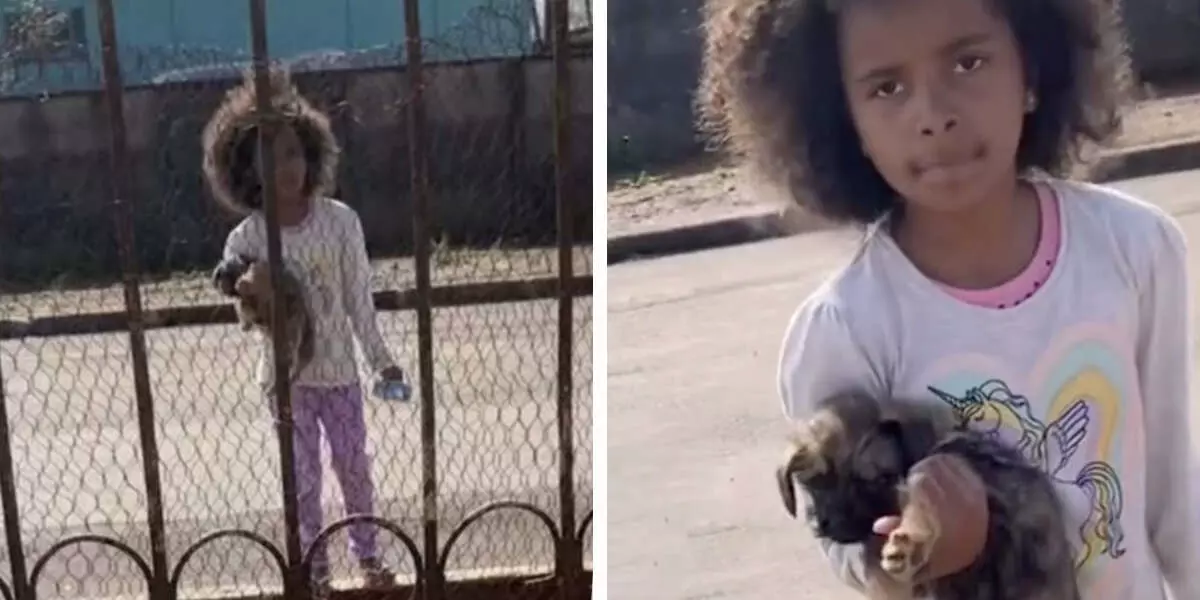Little Girl Goes Out For A Walk And Gets Back Home With A Surprise