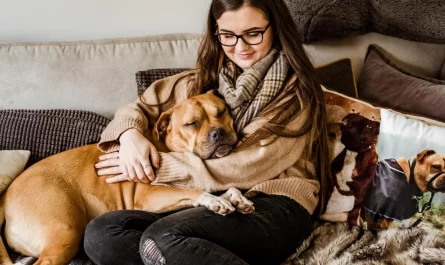 Five signs your dog loves you