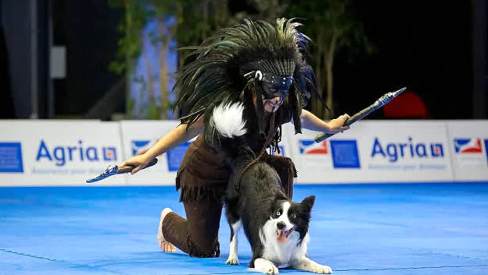 Border Collie takes hearts and wins World Champion with dance