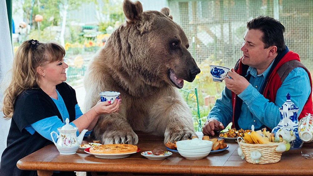 Couple Adopted Orphaned Bear 23 Years Earlier And They Still Live Together..JPG