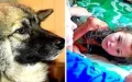 Faithful Dog Kept Lost 3 Years Old Alive For 12 Days In Savage Siberian Wilderness