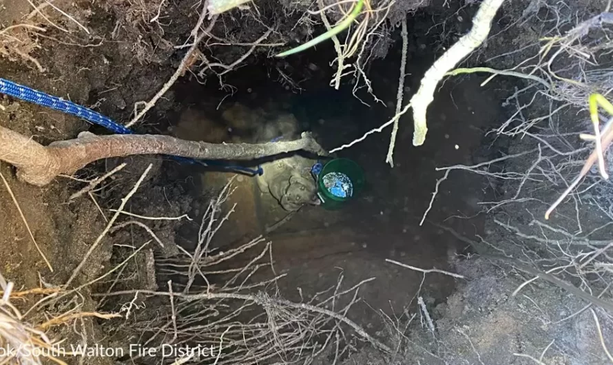 Grateful Dog Thanks Firefighters After They Take Him Out Of 15-Foot-Deep Hole