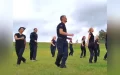 Handlers line up to dance but their dogs unleash moves that steal the show