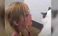 Little girl reunites with beloved cat after 3 years apart