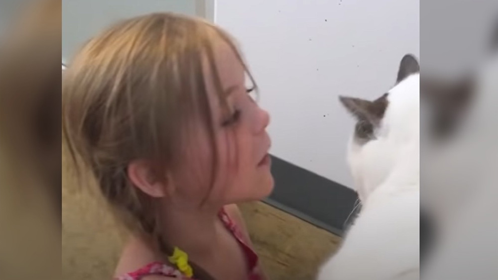 Little girl reunites with beloved cat after