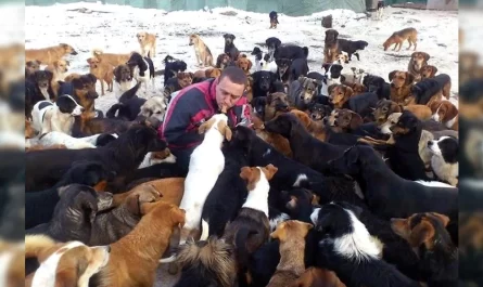 Man Looks After More Than 750 Dogs At His Shelter That Else Nobody Desired