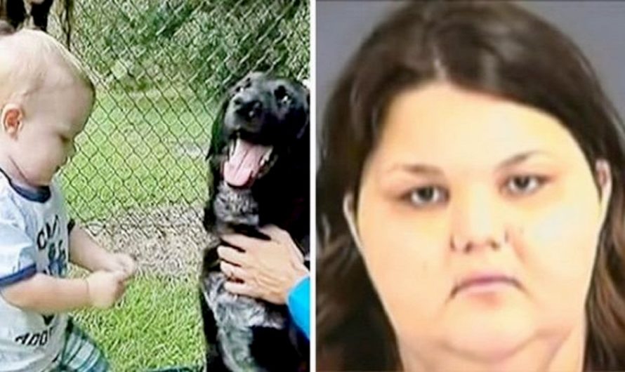 Right here’s How This Dog Reveals The True Face Of The Cruel Babysitter