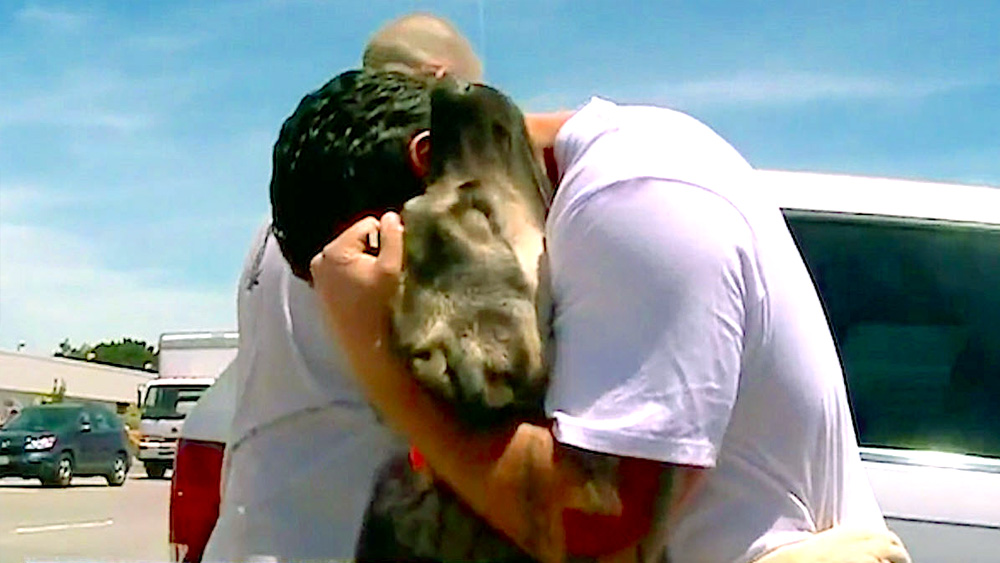 Soldier Falls In Love With Puppy In Iraq, Reunite After 1 Month