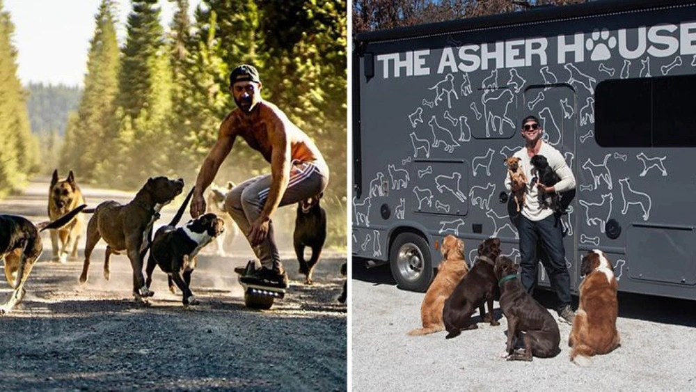 This Man Quits His Job To Travel The Country And Save Dogs From Shelters