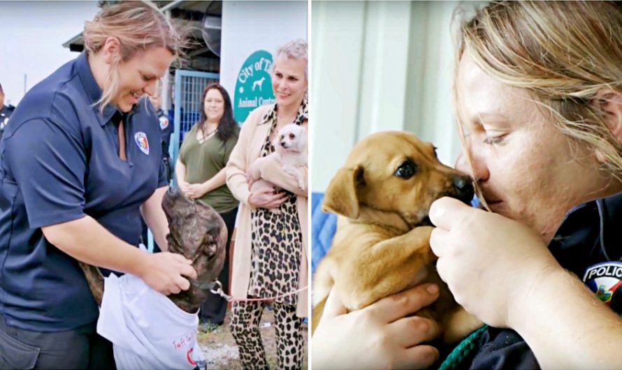 Woman Single Handedly Lowers Shelter’s Kill Rate And Rescues 565 Dogs