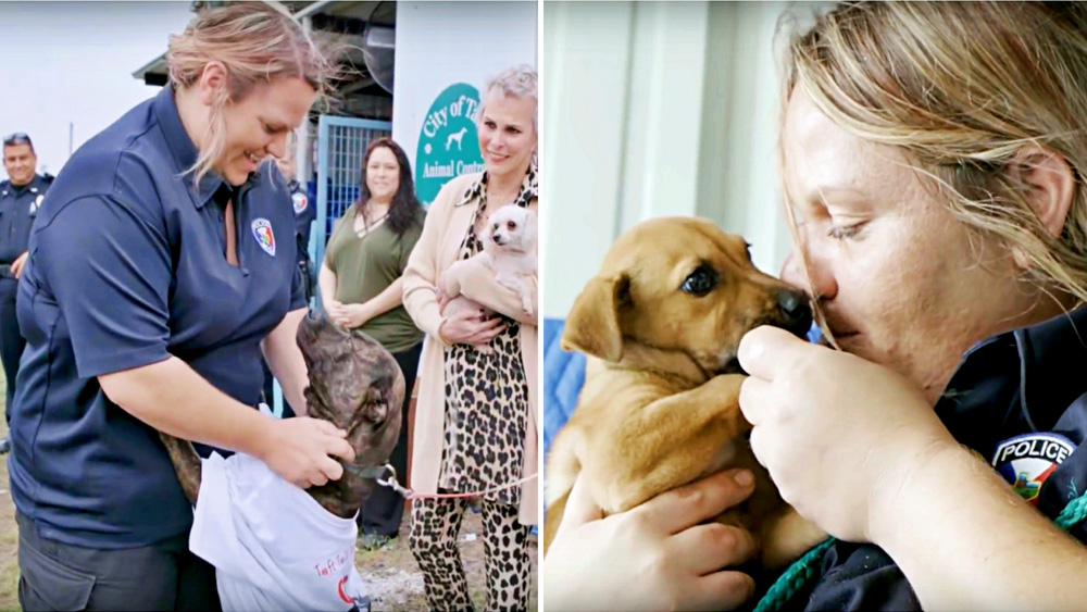 Woman Single Handedly Lowers Shelter's Kill Rate And Rescues 565 Dogs