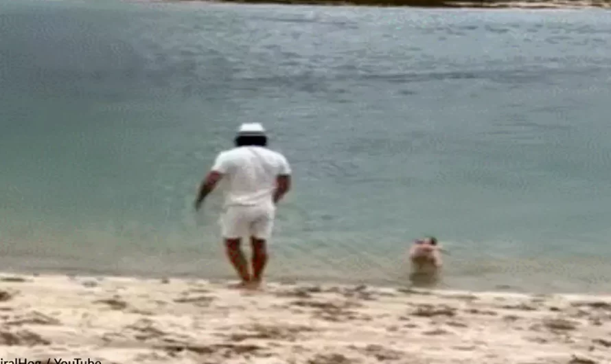 Video Of Puppy’s First Day At The Beach Goes Viral