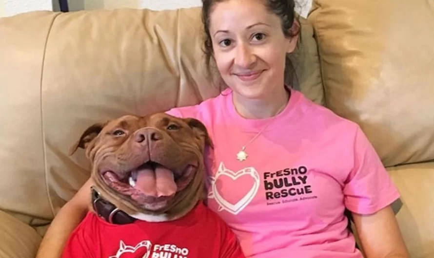 Meet Meaty, The Dog That Can Not Stop Smiling After Being Rescued From A Sanctuary