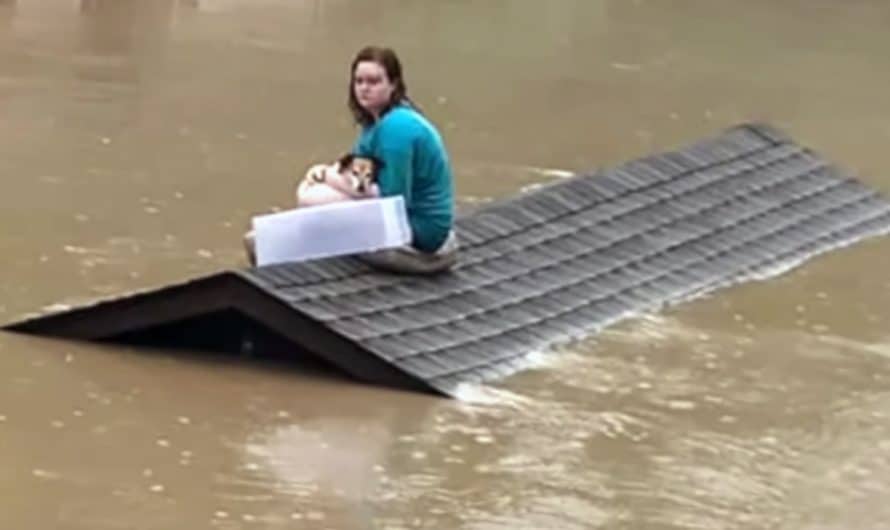 Teenager Rescues Her Dog With A Makeshift Boat During Terrible Flood